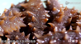海參進補從娃娃抓起，兒童吃海參的好處！