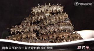 孝敬父母，為何首選海參？